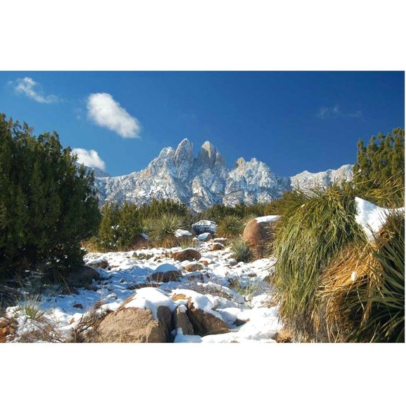 Hi there! - Picture 1 of 14